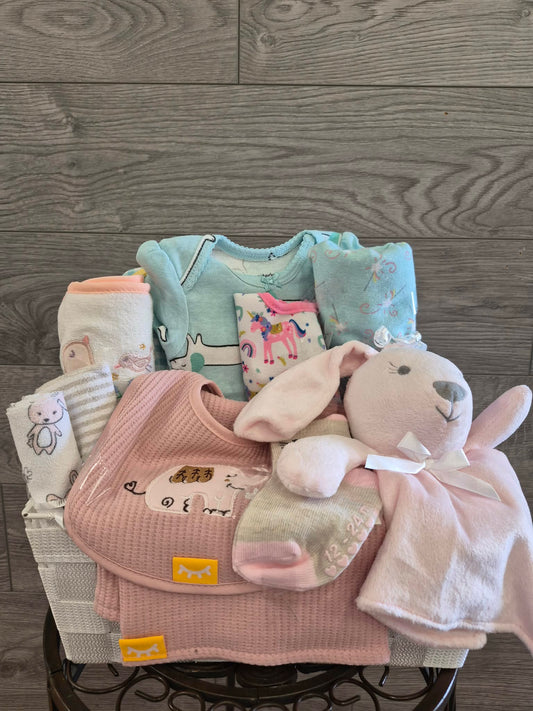 Panier cadeau naissance — Petite fille